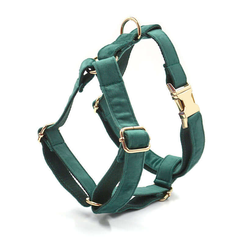 Green Velvet Dog Collar Leash and harness set Sitandpawz.com