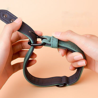 DOG COLLAR Sitandpawz.com