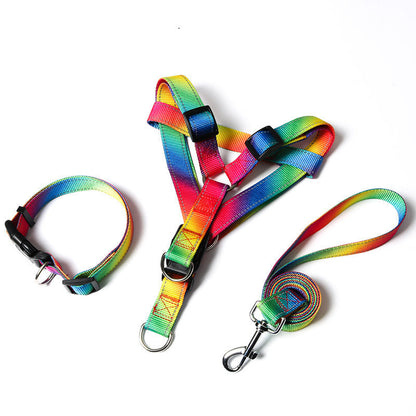 Rainbow collar,leash and harness set Sitandpawz.com