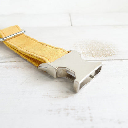 ADJUSTABLE COLLAR Sitandpawz.com