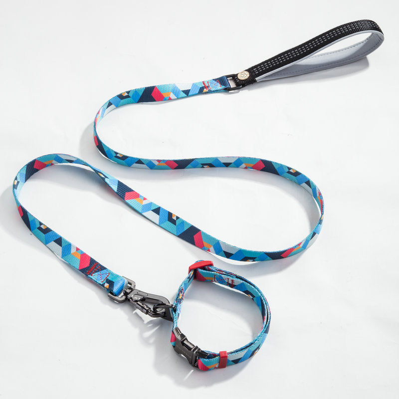 LEASH AND COLLAR SET Sitandpawz.com