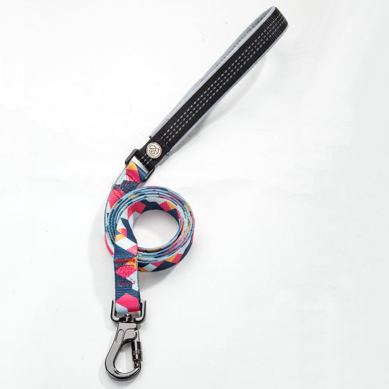 LEASH AND COLLAR SET Sitandpawz.com