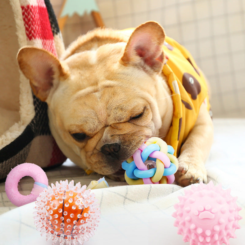 CHEW TOYS Sitandpawz.com