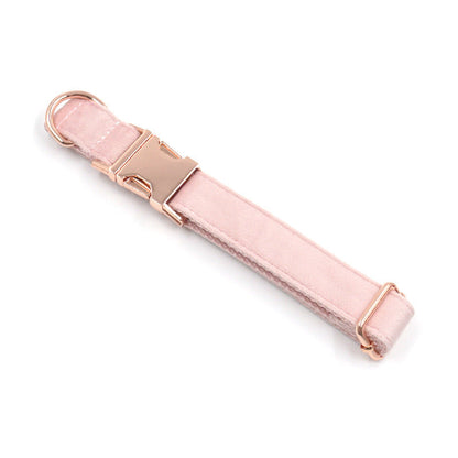 Premium Velvet Rose Gold Collar and Leash set Sitandpawz.com