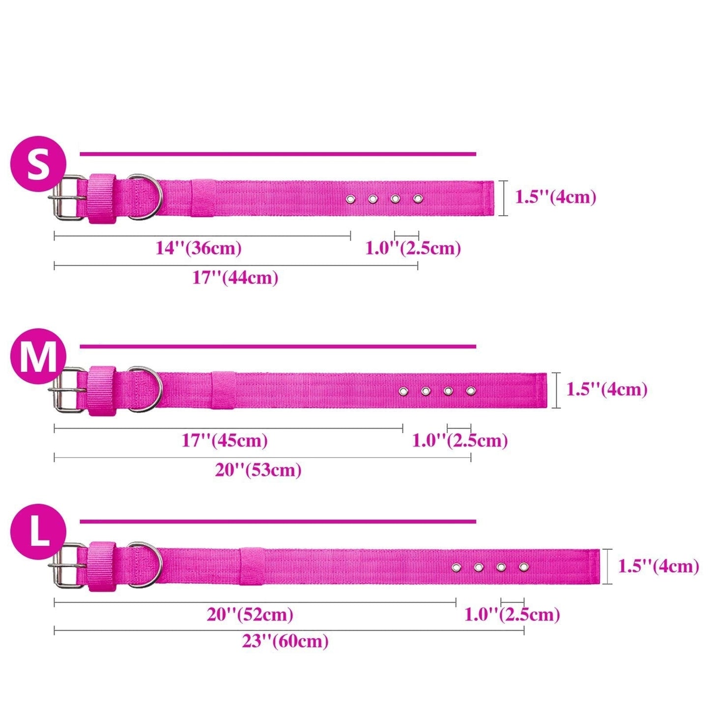 THICK DOG COLLAR Sitandpawz.com