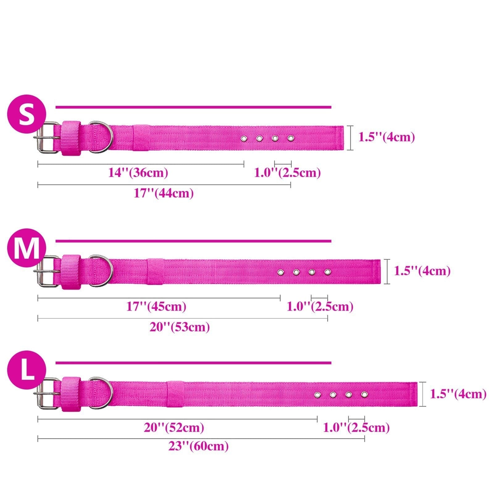 THICK DOG COLLAR Sitandpawz.com