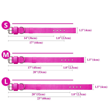 THICK DOG COLLAR Sitandpawz.com