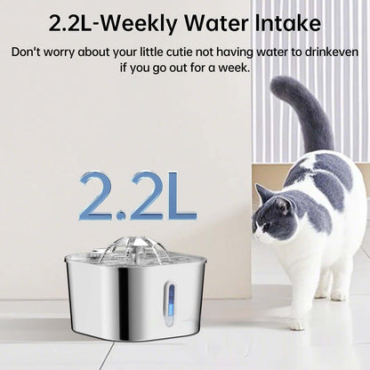 2.2L Stainless Steel Pet Cat Water Fountain Dogs And Cats Water Feeder Sitandpawz.com