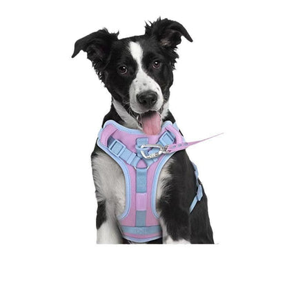 NO ESCAPE DOG HARNESS Sitandpawz.com
