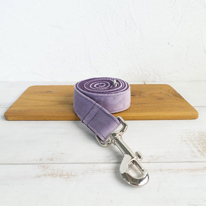 Premium purple Collar and leash set Sitandpawz.com