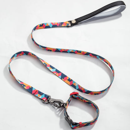 LEASH AND COLLAR SET Sitandpawz.com