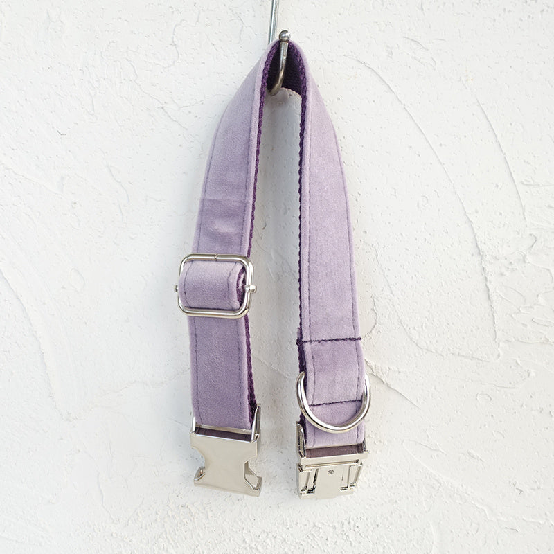 Premium purple Collar and leash set Sitandpawz.com