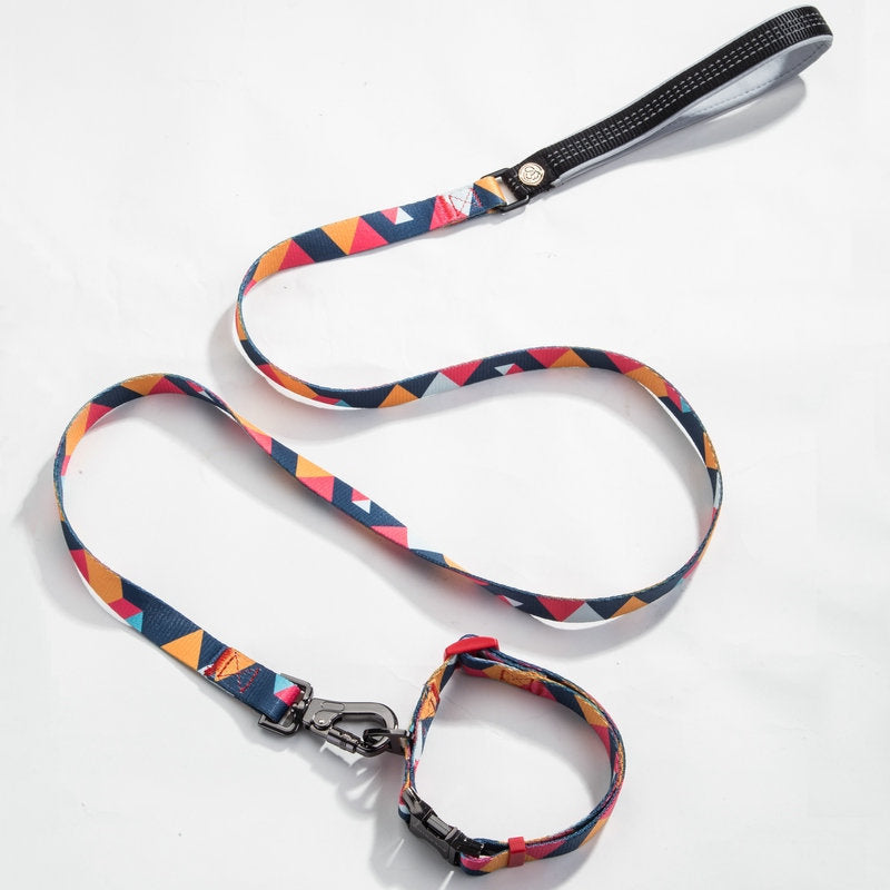 LEASH AND COLLAR SET Sitandpawz.com