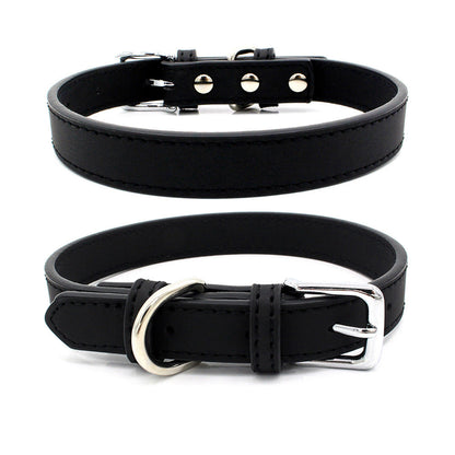 Leather Pet Collar Sitandpawz.com