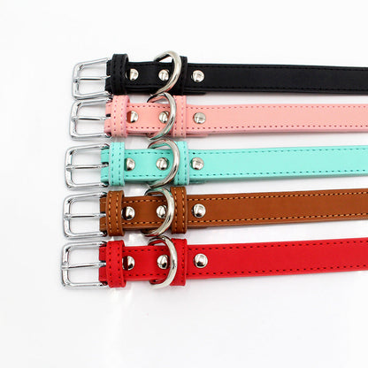 Leather Pet Collar Sitandpawz.com