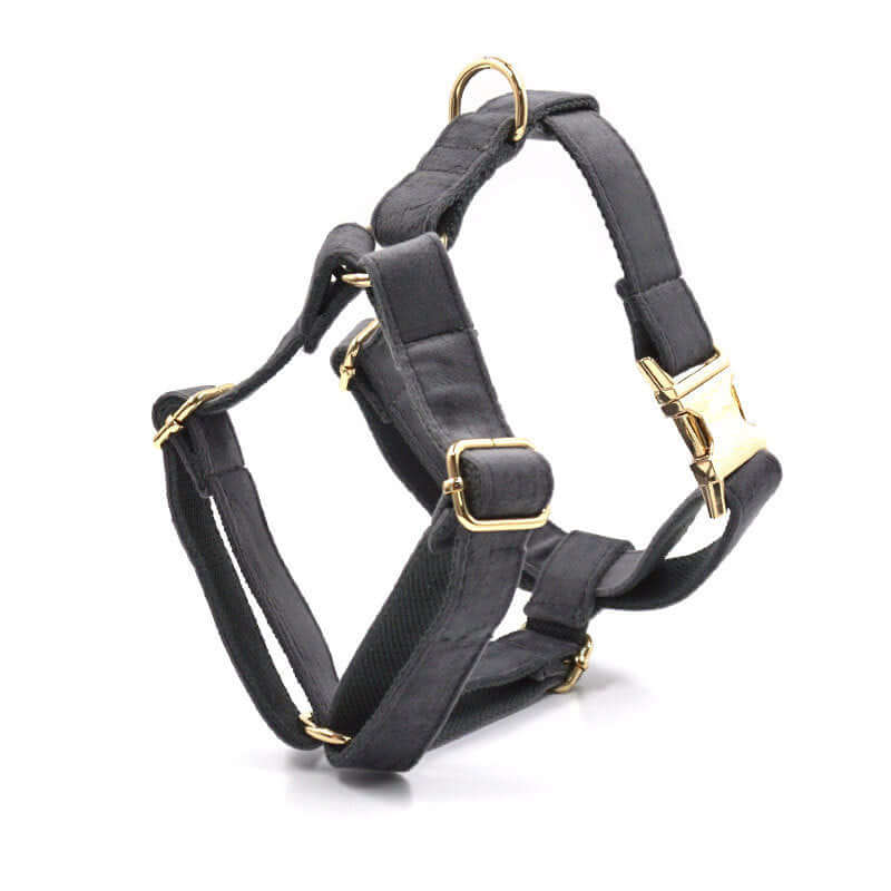 Dark Grey Velvet  Collar Leash and harness set Sitandpawz.com