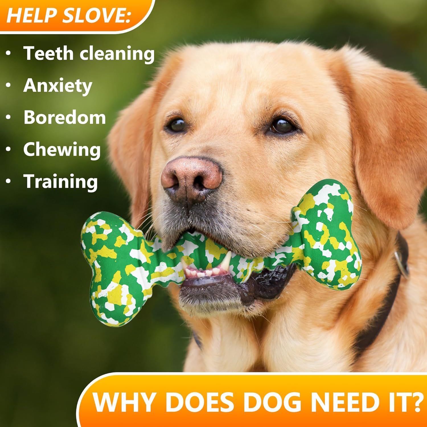 INDESTRUCTIBLE RUBBER BONE Sitandpawz.com