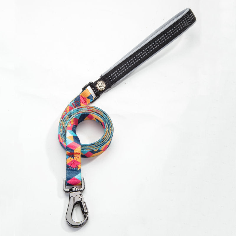 LEASH AND COLLAR SET Sitandpawz.com