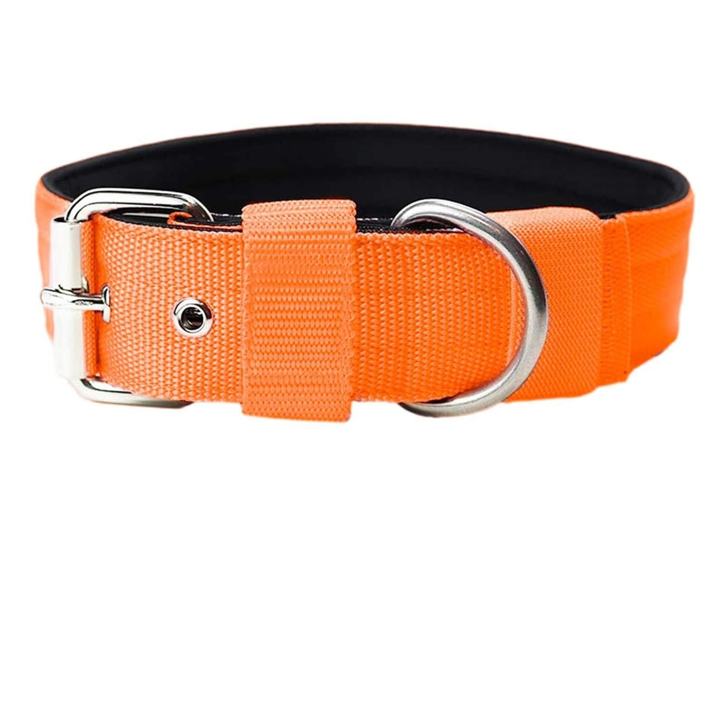 THICK DOG COLLAR Sitandpawz.com