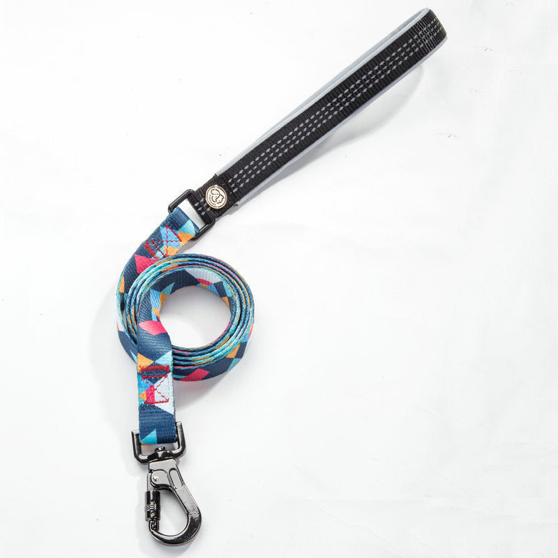 LEASH AND COLLAR SET Sitandpawz.com