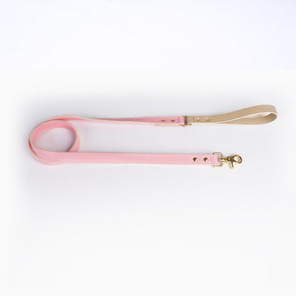 Leather Dog Leash and Collar Set Sitandpawz.com