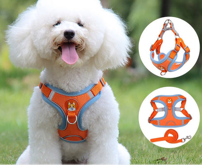 NO PULL HARNESS AND LEASH SET Sitandpawz.com