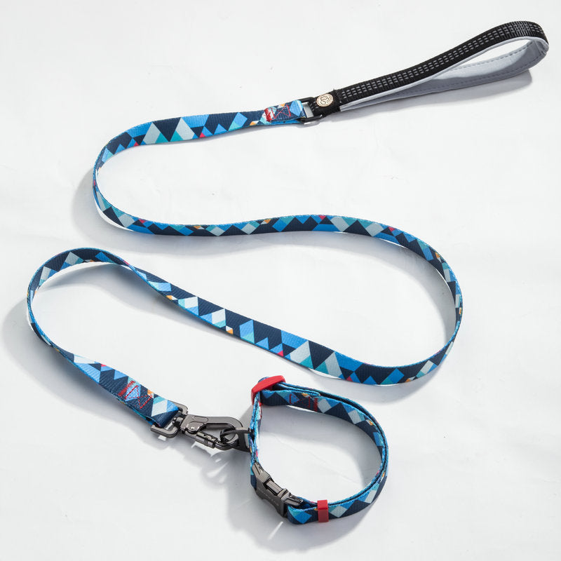 LEASH AND COLLAR SET Sitandpawz.com