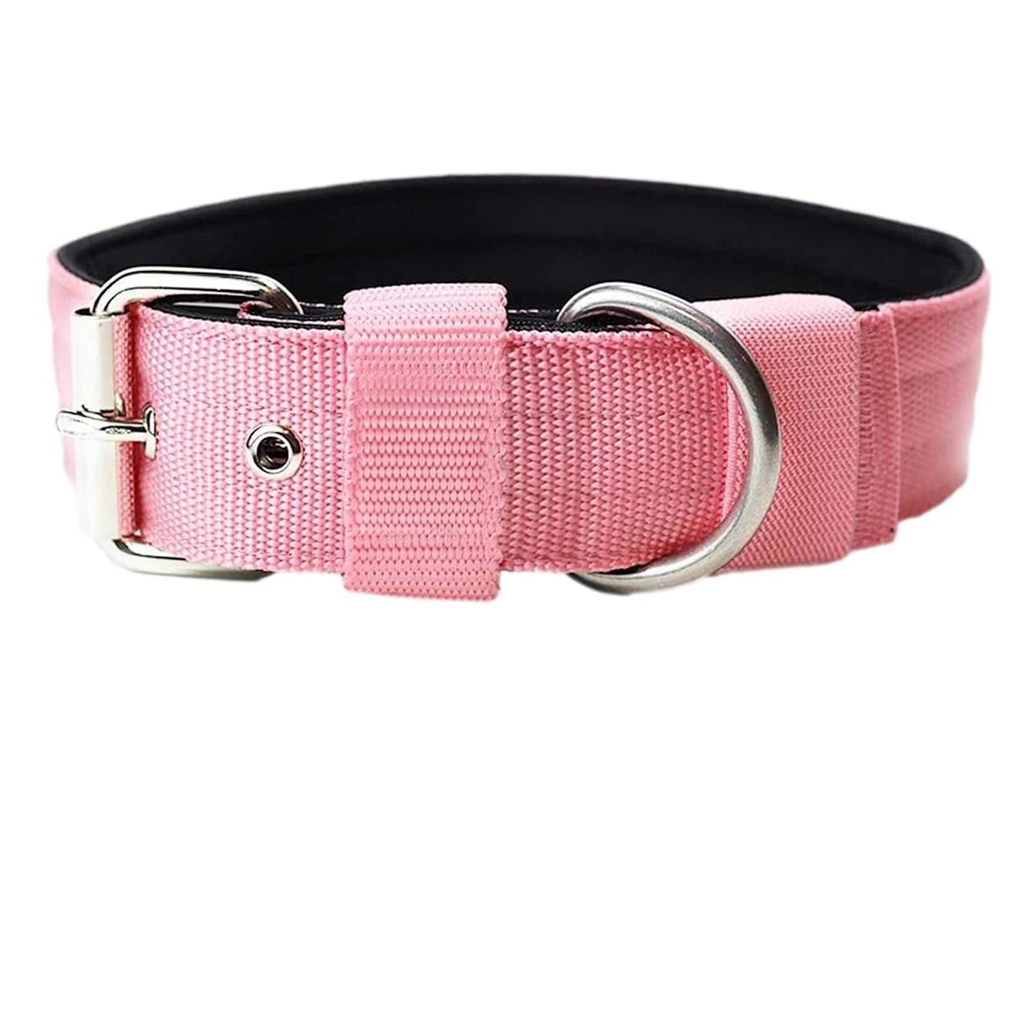 THICK DOG COLLAR Sitandpawz.com