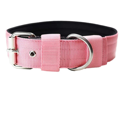 THICK DOG COLLAR Sitandpawz.com