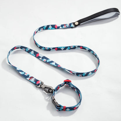 LEASH AND COLLAR SET Sitandpawz.com
