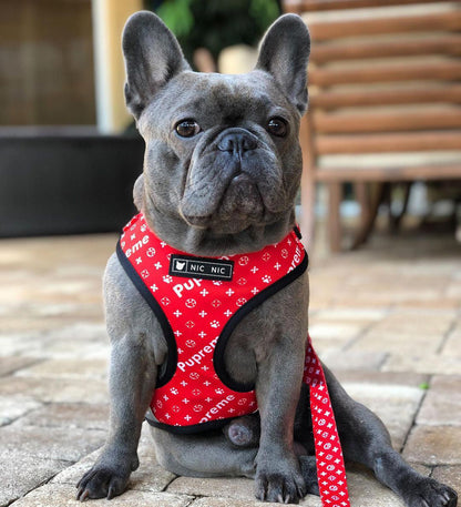 Breathable Mesh Leash and Harness set Sitandpawz.com