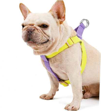 NO PULL HARNESS Sitandpawz.com
