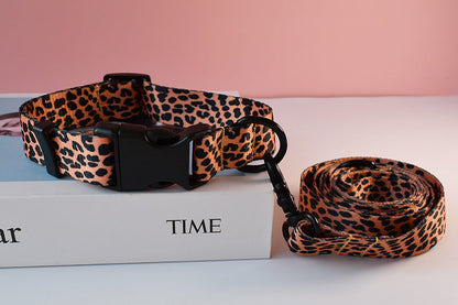 DOG COLLAR LEAST SET Sitandpawz.com