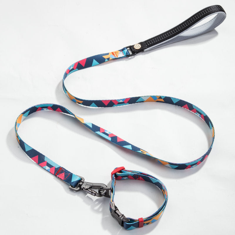 LEASH AND COLLAR SET Sitandpawz.com