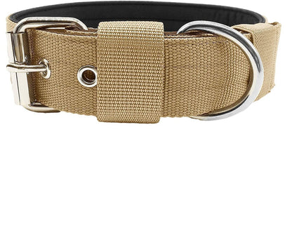 THICK DOG COLLAR Sitandpawz.com