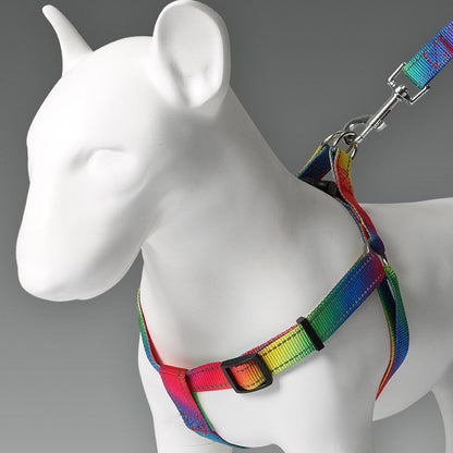 Rainbow collar,leash and harness set Sitandpawz.com