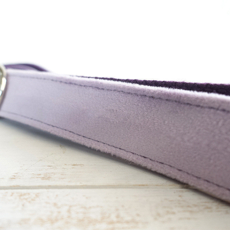 PET LEASH Sitandpawz.com