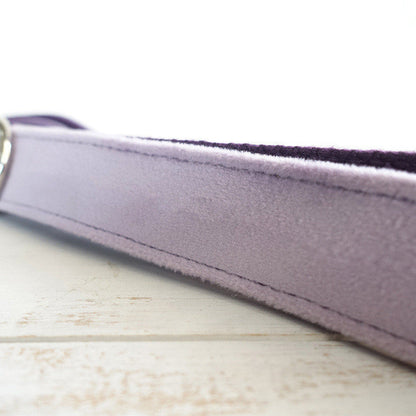 PET LEASH Sitandpawz.com