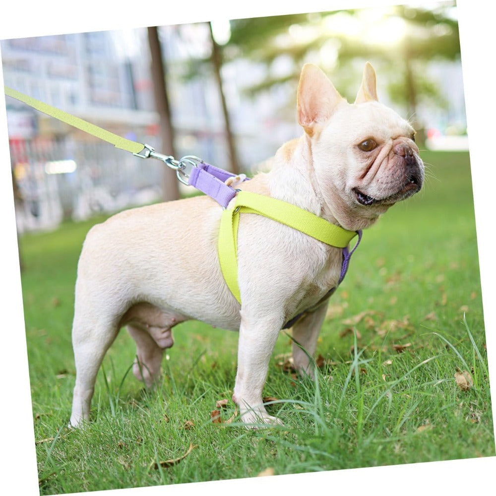 NO PULL HARNESS Sitandpawz.com