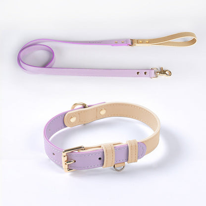 Leather Dog Leash and Collar Set Sitandpawz.com