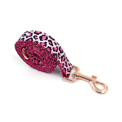 Premium Leopard Print Rose Gold Collar and Leash Set Sitandpawz.com