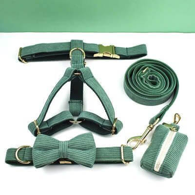Green Velvet Dog Collar Leash and harness set Sitandpawz.com