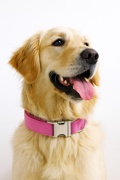 PINK VELVET COLLAR AND LEASH SET Sitandpawz.com