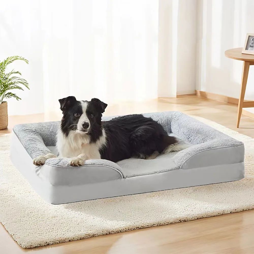 Dog lying on a large gray pet bed in a bright room with a plant and small table.