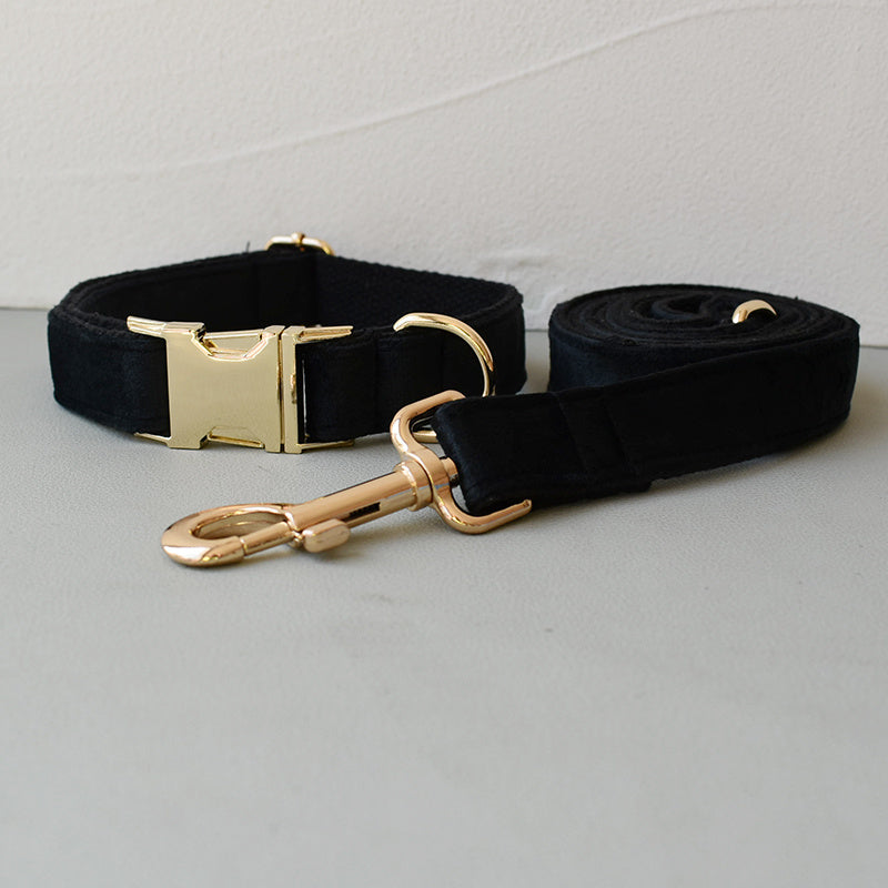 Black dog collar and leash with gold hardware on a light gray background