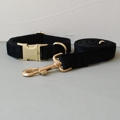 Black dog collar and leash with gold hardware on a light gray background