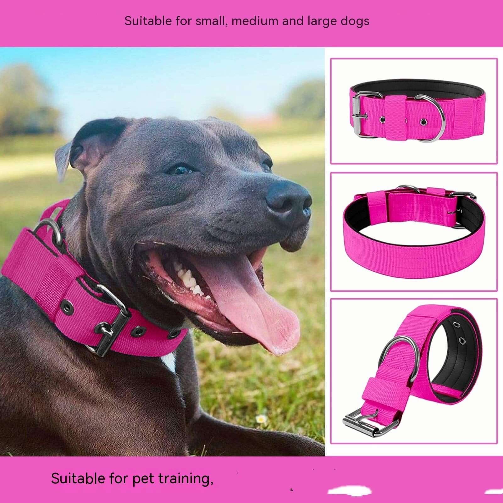 THICK DOG COLLAR Sitandpawz.com