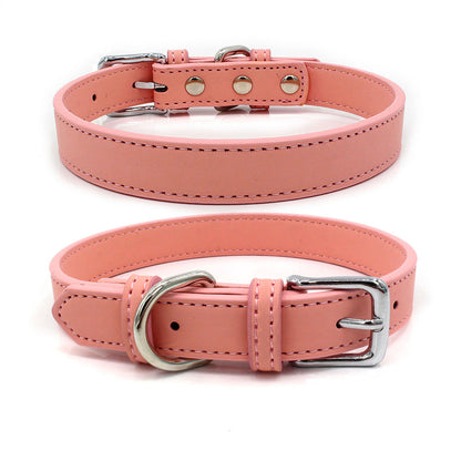 Leather Pet Collar Sitandpawz.com