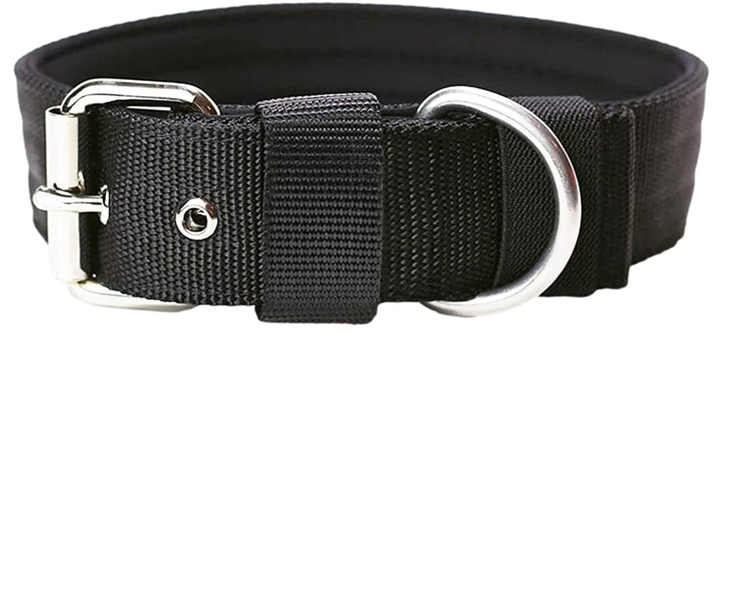THICK DOG COLLAR Sitandpawz.com