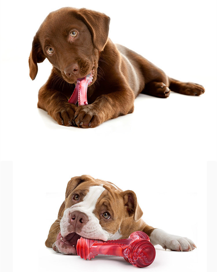 Nylon Triangle Chew Toy Sitandpawz.com